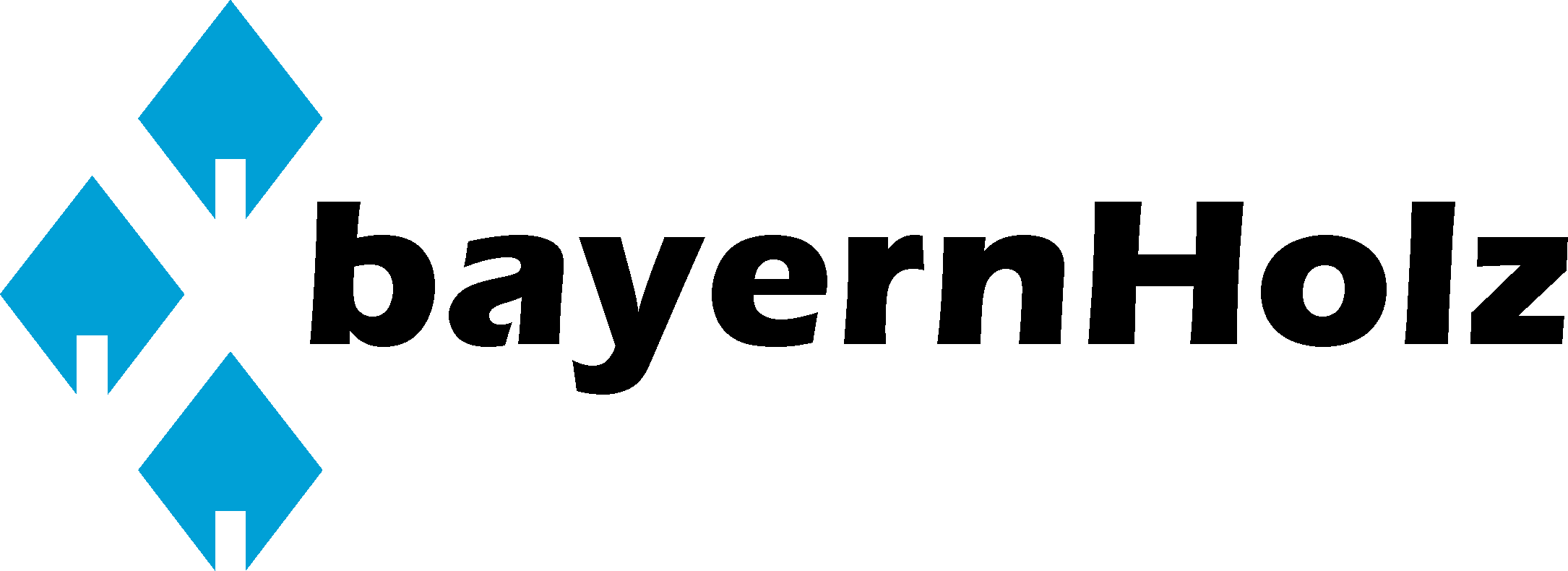 bayernHolz